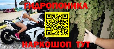 марихуана Будённовск