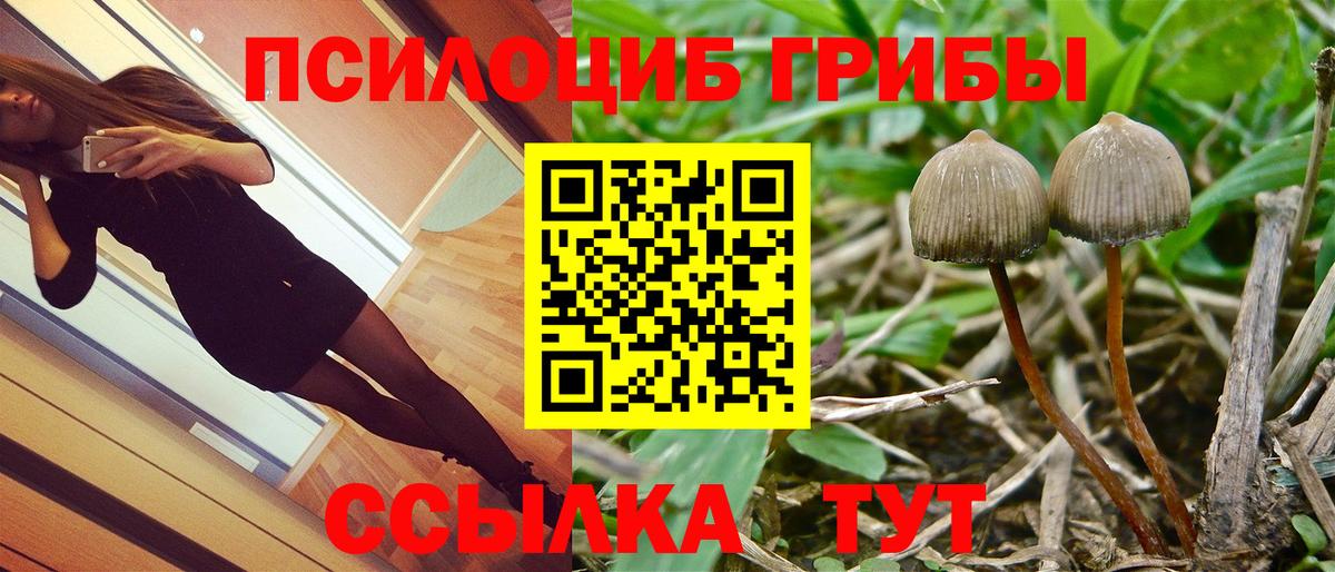 Галлюциногенные грибы Cubensis  Вход с VPN  Чебоксары 