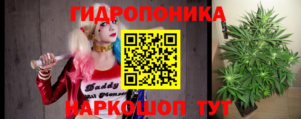Канабис White Widow  МАРИХУАНА конопля  Вход с VPN  МАРИХУАНА марихуана  Чебоксары 